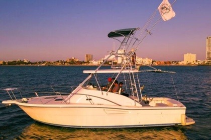 Luhrs 34 Sportfisher