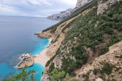 Charter RIB Joker Boat CLUBMAN 24 Santa Maria Navarrese