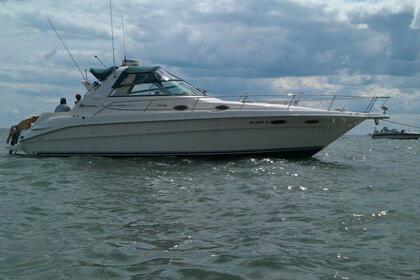 Noleggio Barca a motore SEA RAY SUNDANCER 330 Giovinazzo