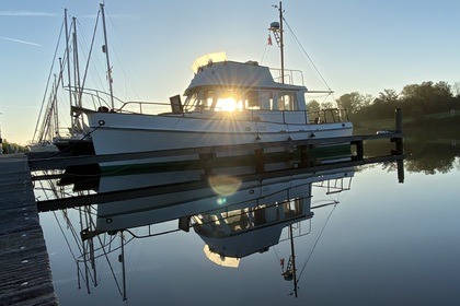 Location Bateau à moteur American Marine Grand Banks 32 Veere