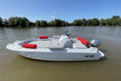 Charter Motorboat ROTO 450S Family Nantes