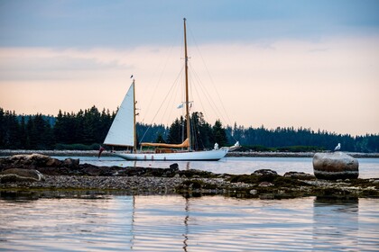 Location Goélette William Fife Sailing classic yacht Porquerolles