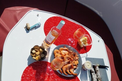 Pacific craft 6,70 open 200cv neuf