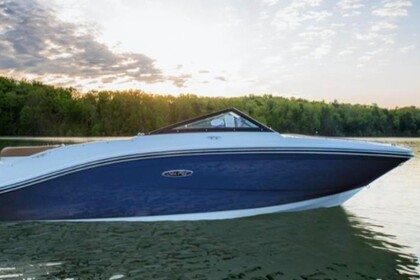 Sea Ray SPXE190 (mit Skipper)