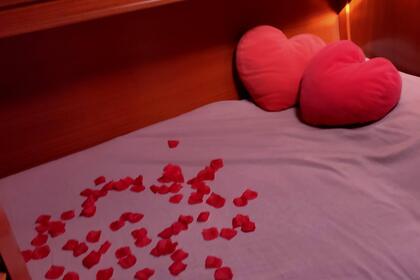 Cisne Negro (North Wind 435)