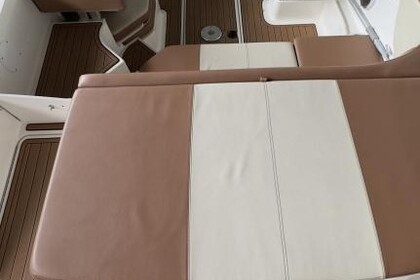 Sea Ray SPXE190 (mit Skipper)