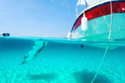 Compass GT SANS LICENCE