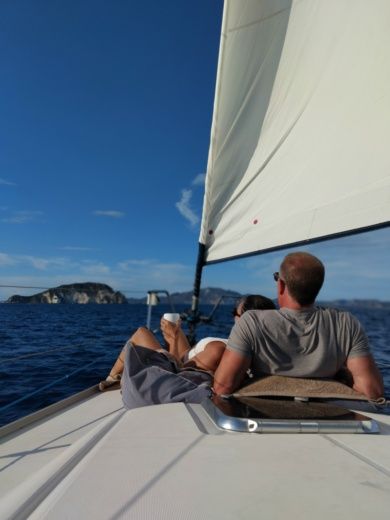 Sailboat Dufour 385 Plan du bateau