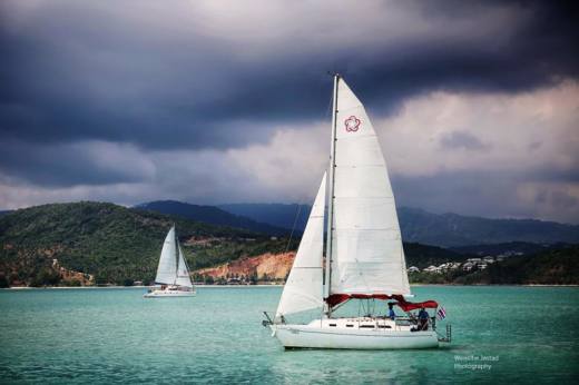 Freedom 30