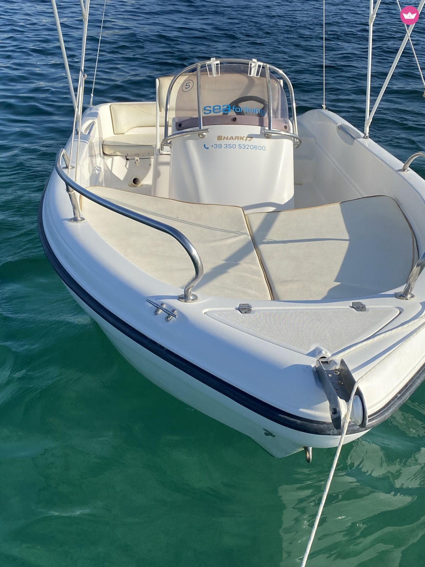 Bateau à moteur Ranieri Shark 17 5