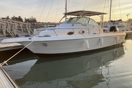 Rental Motorboat Proline 251WA Noirmoutier-en-l'Île