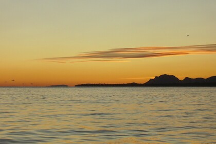 ULTRAMAR 570 OPEN - Outboard 115HP 2014