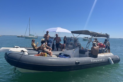 Miete RIB Capelli Tempest 700 Saint-Martin-de-Ré