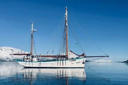 Hyra båt Guletbåt Chantier Keraudren Ketch, classé Monument Historique Bodø