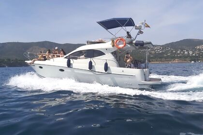 Miete Motorboot Starfisher 34L Palma de Mallorca