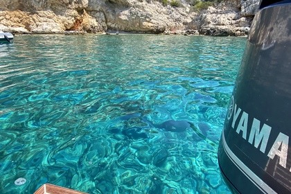 Nuova Jolly Prince 25 - Vis