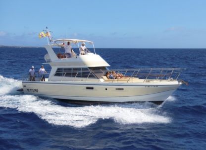 Charter Motorboat Powles Edición Limitada Los Cristianos
