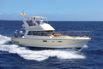 Rental Motorboat POWLES EDICIÓN LIMITADA Los Cristianos