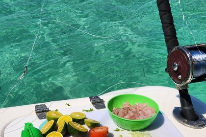 Proline Super Sport 27' - Taboga Island - Full-day private charter