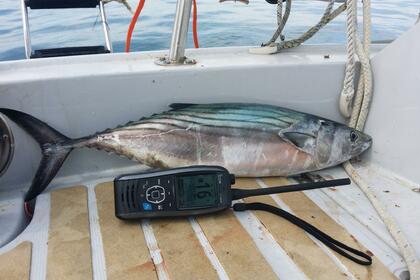 Miete Segelboot Dufour 34 Leucate