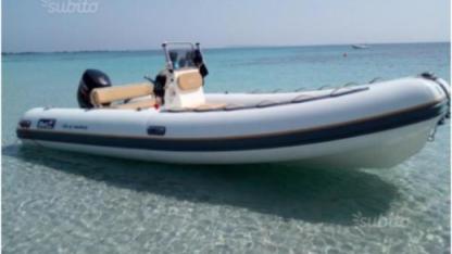 Charter RIB Bwa 550 Golfo Aranci