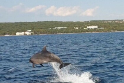 Cruise around Krk with Elan 650 Cabin