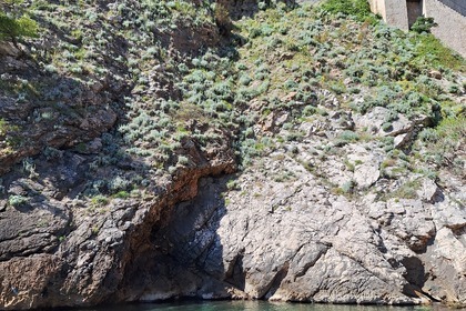 Private boat tour-Elaphiti Islands with drinks included