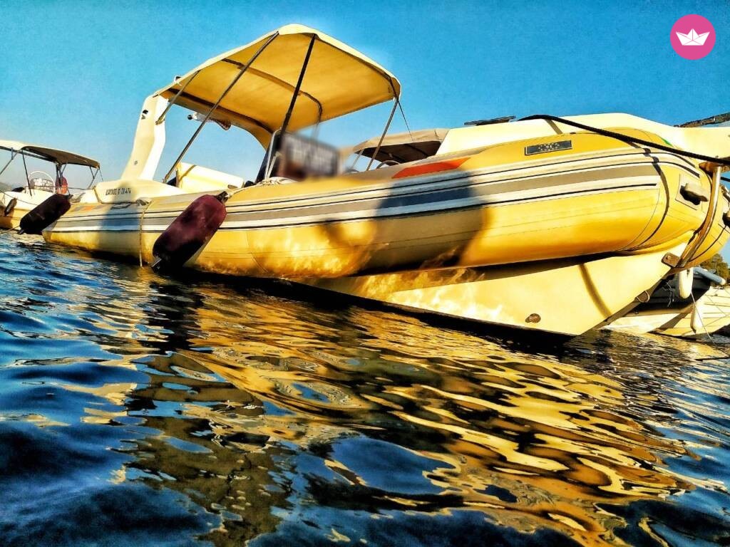 Czarter 61