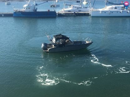 Location Bateau à moteur Anytec 530 Spd Plouguerneau