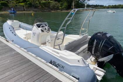 Miete RIB Nuova Jolly Black Fin  Elegance 7 Baden