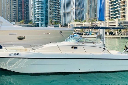 Rental Motorboat Gulf Craft 35 Dubai