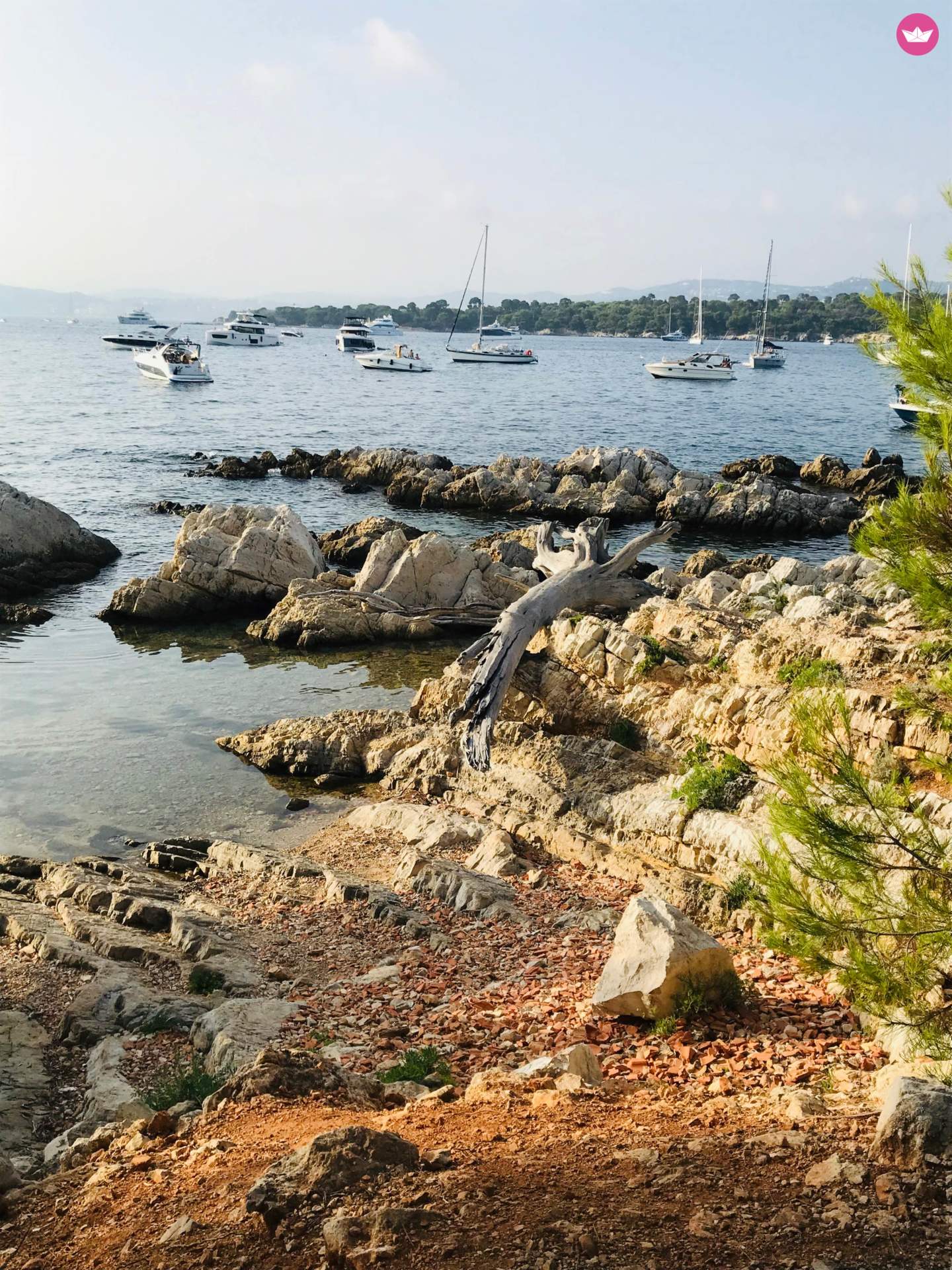 American Marine Grand Banks 42 Classic à Antibes de particuliers et professionnels