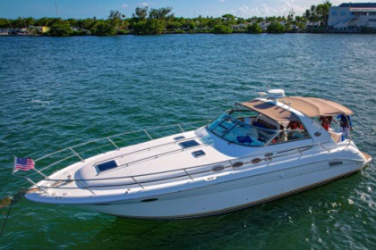 Rental Motorboat Sea Ray Sundancer Miami