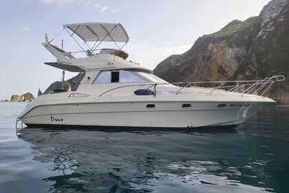 Rental Motorboat draco opal 3400 fly Sapri