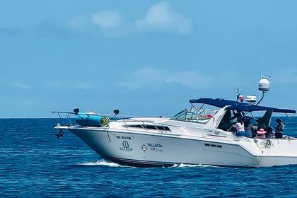 Hire Motorboat Sea Ray 42 Puerto Vallarta