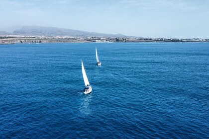 Alquiler Velero Beneteau Oceanis 46 Pasito Blanco