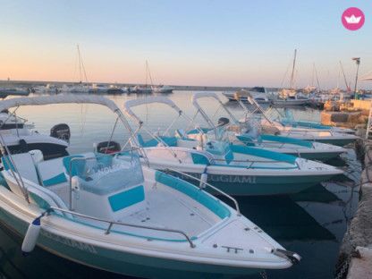Charter Motorboat Tortuga . Villanova
