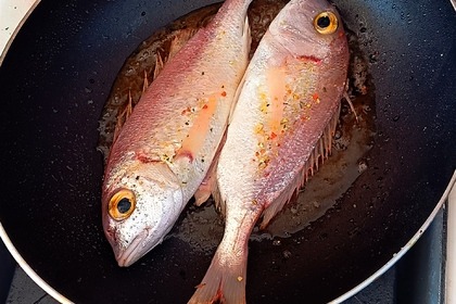 Sea montenegro arvor 230as