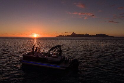 Hire Motorboat Pontoon Boat Bora Bora
