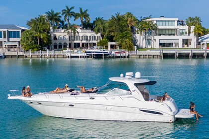 Rental Motorboat Sea Ray 50 Sundancer Miami Beach