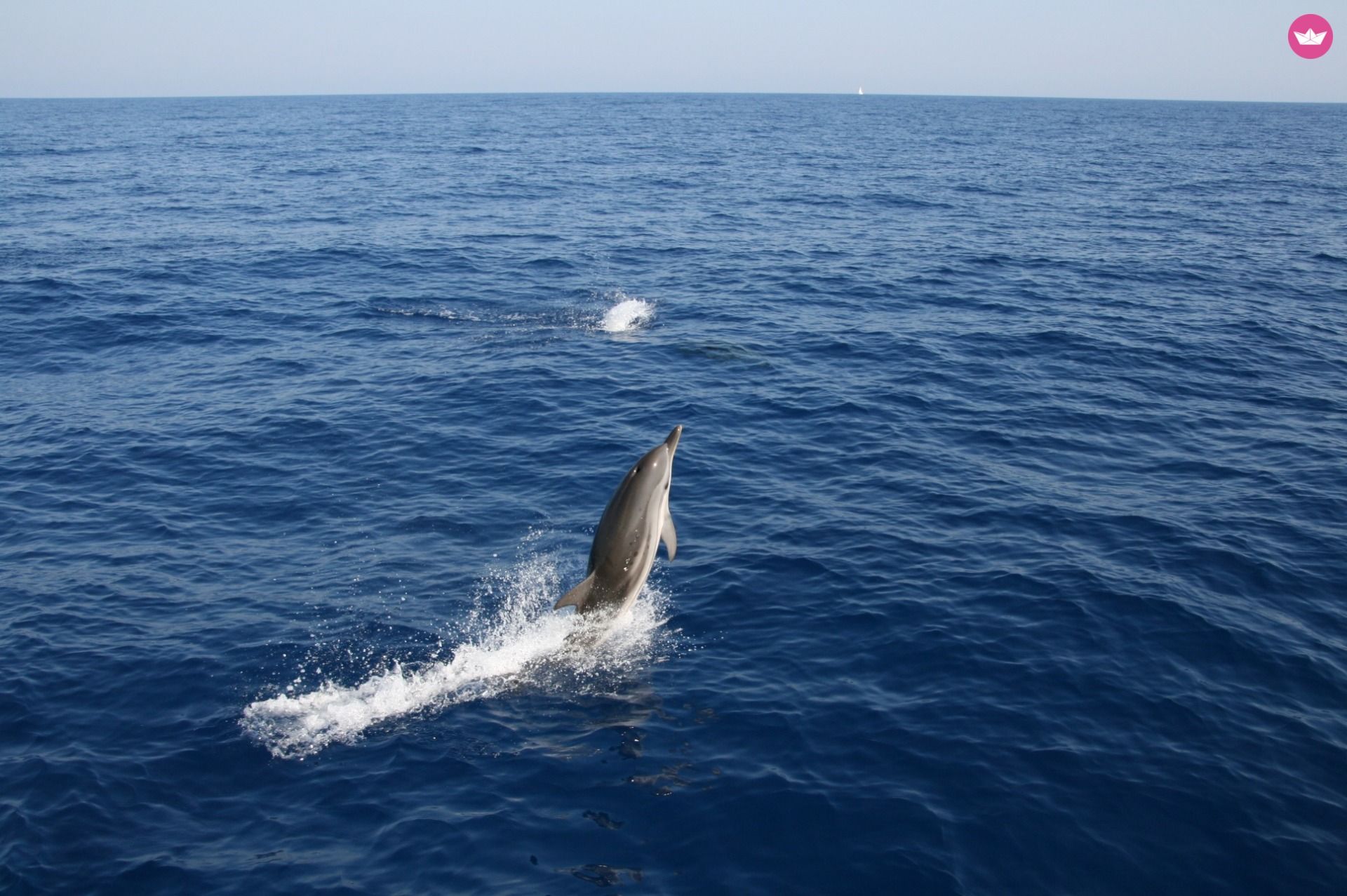 Noleggio Barca a vela Bavaria 34 Bari