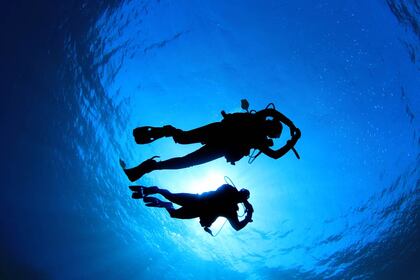 Ocean Boat Available For Scuba Diving Lessons Also