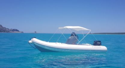 Charter RIB Focchi 510 Sport Golfo Aranci