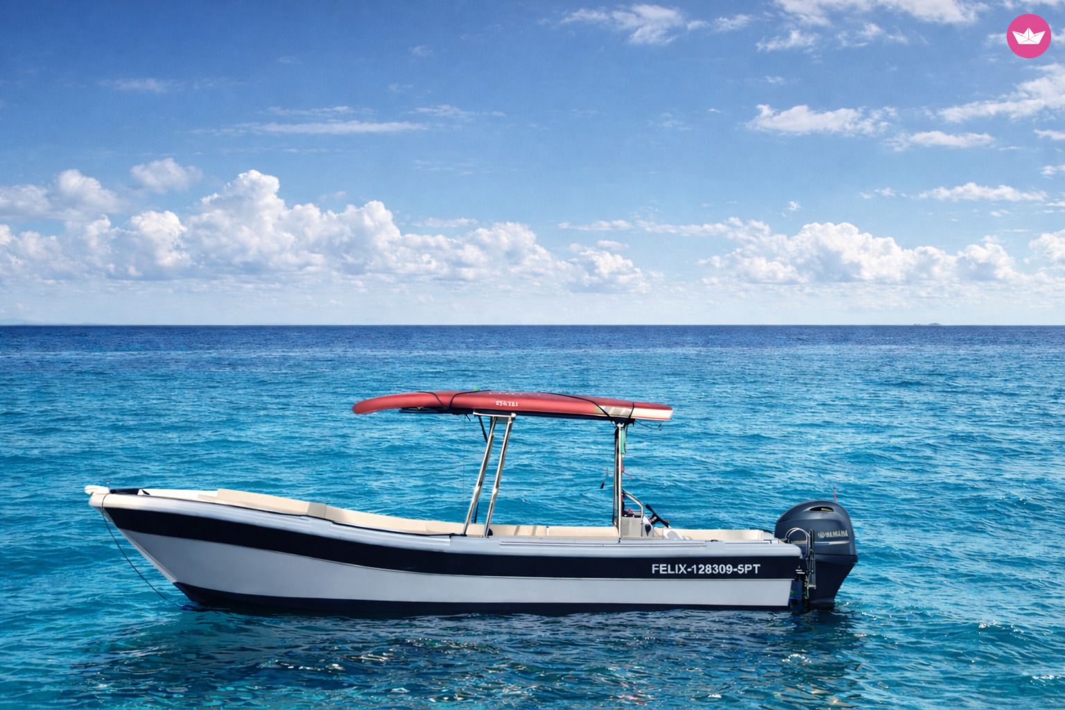 Bateau à moteur With or without skipper 100cv 5