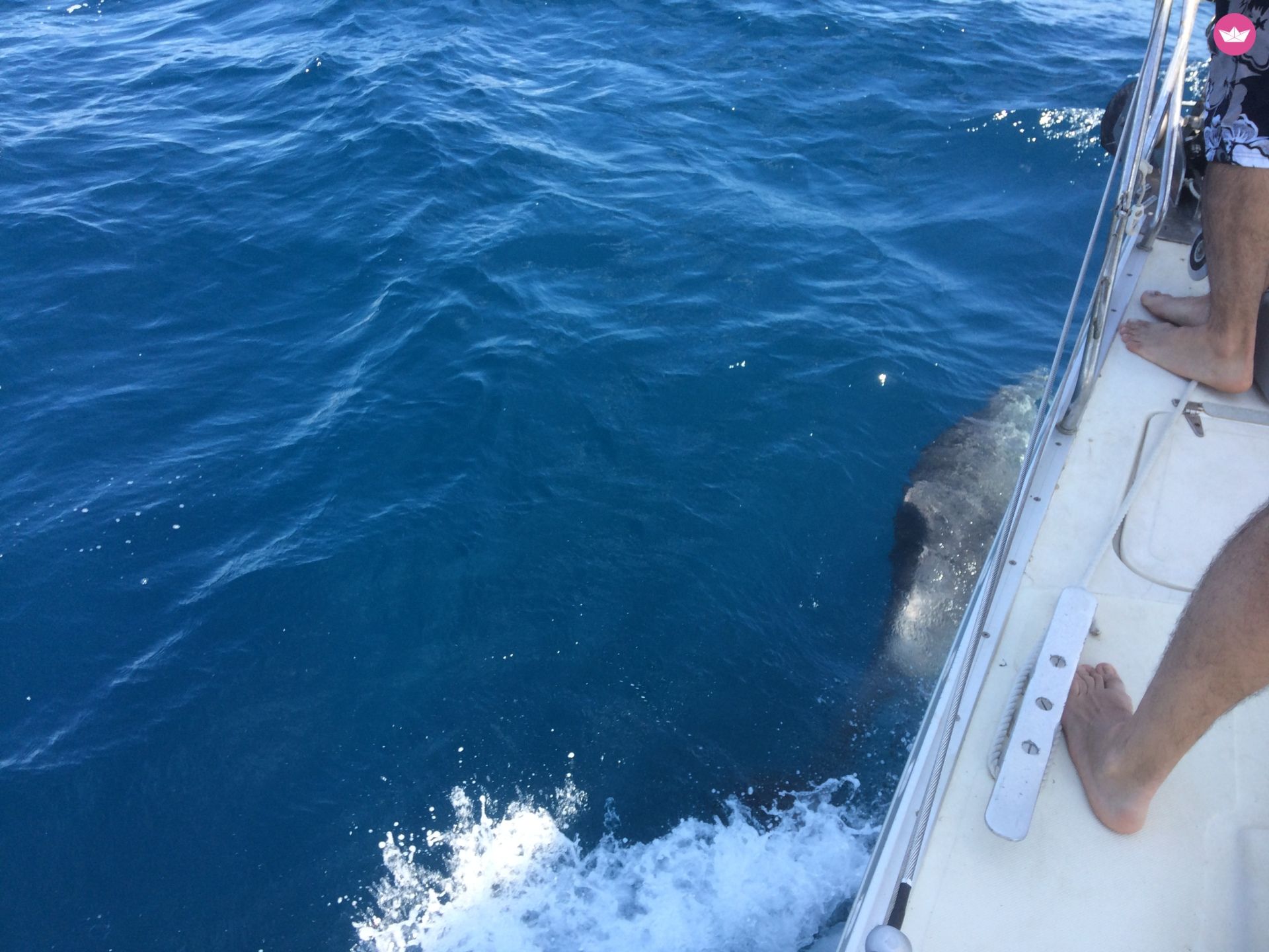 Sailboat Dromor Triton 48  