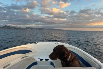 Hire Motorboat Bayliner 245 La Paz