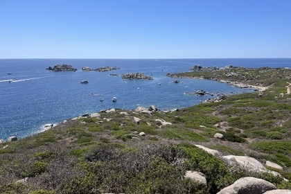 Gommone Novamarine Nuovo | Senza patente | 5 Pax