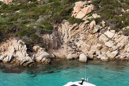 SAXDOR 320 GTO (2025)