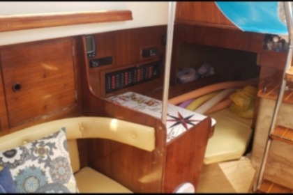 Entdecken Sie neue Ufer auf Ihrem Segelboot 30.3 i