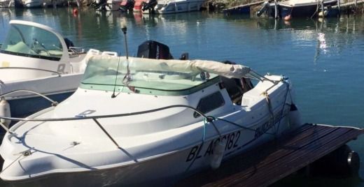 Quicksilver 435